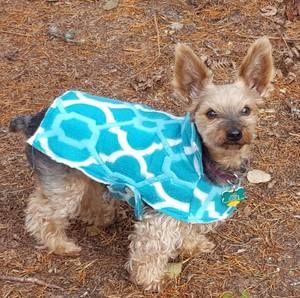 Meet your Posher, Lisa